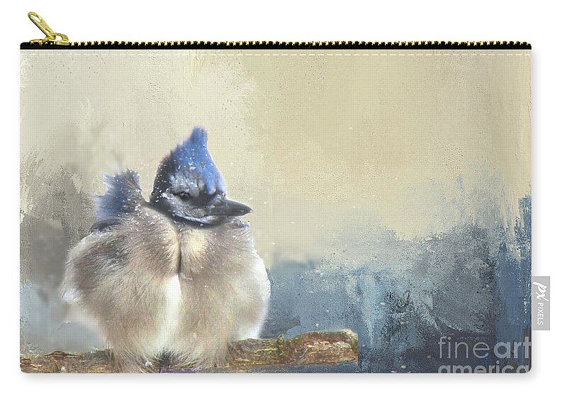 Bird Zip Pouch featuring the photograph Baby Bluejay in Winter by Janette Boyd