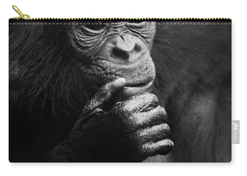 Bonobo Zip Pouch featuring the photograph Baby Bonobo by Heiko Koehrer-Wagner