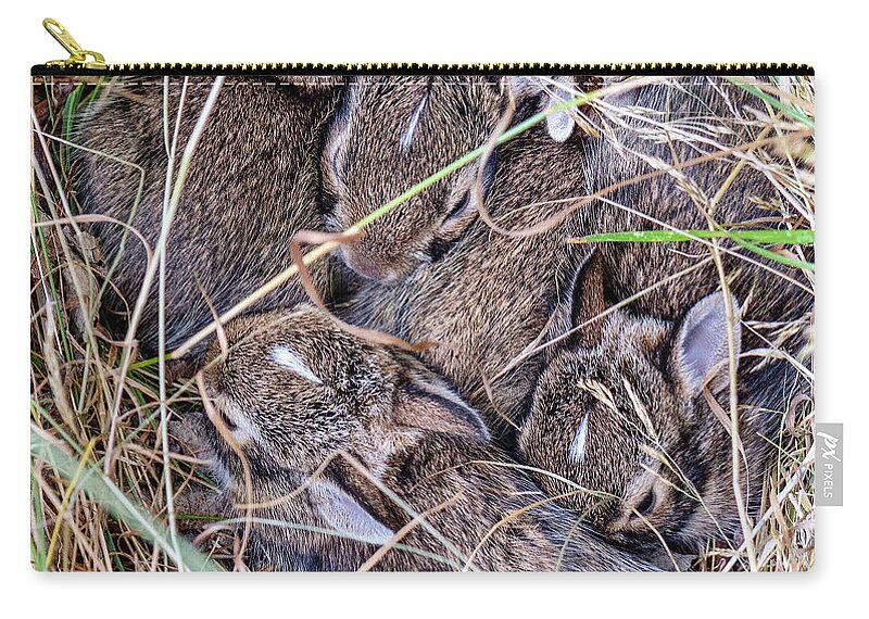 Baby Zip Pouch featuring the photograph Baby Bunnies by Timothy Anable