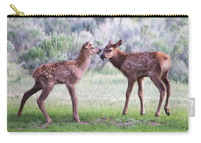 Elk Zip Pouch featuring the photograph Baby Elk by Wesley Aston