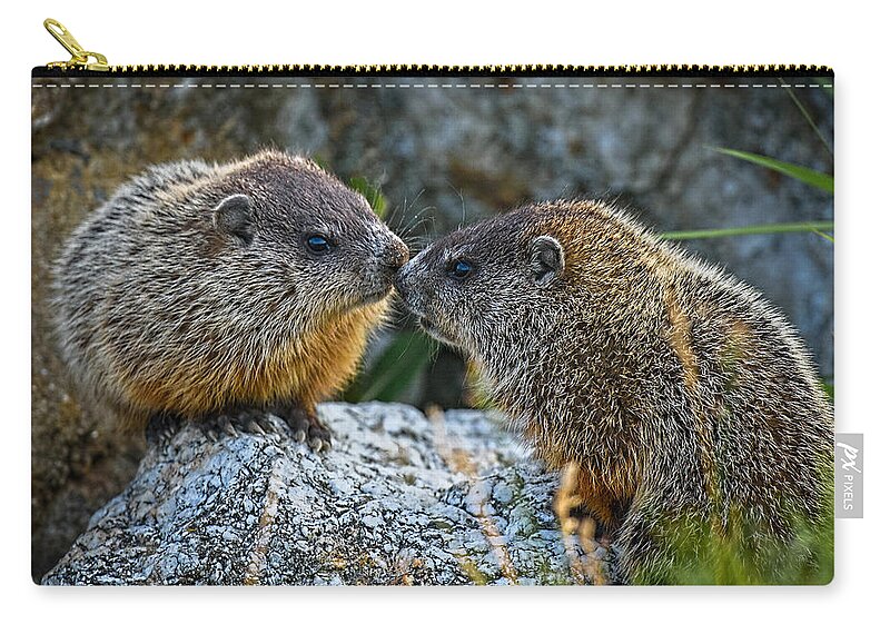 Baby Groundhogs Kissing Carry-all Pouch by Bob Orsillo - Fine Art America