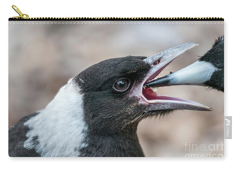 Magpie Carry-all Pouch featuring the photograph Baby Magpie 2 by Werner Padarin