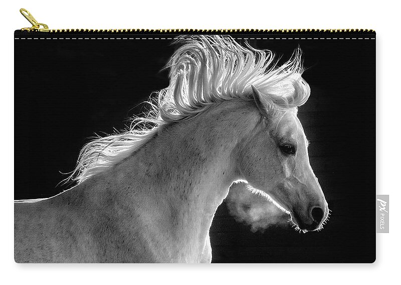 Backlit Arabian Zip Pouch featuring the photograph Backlit Arabian by Wes and Dotty Weber