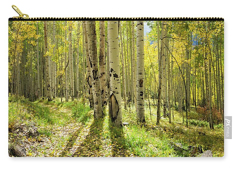 Aspen Carry-all Pouch featuring the photograph Backlit Aspen Trail by Denise Bush