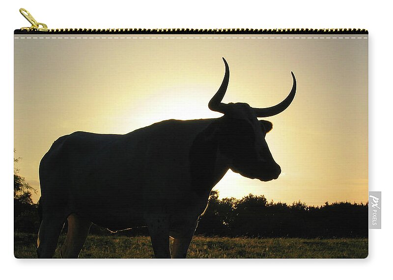 Backlit Carry-all Pouch featuring the photograph Backlit Longhorn by Ted Keller