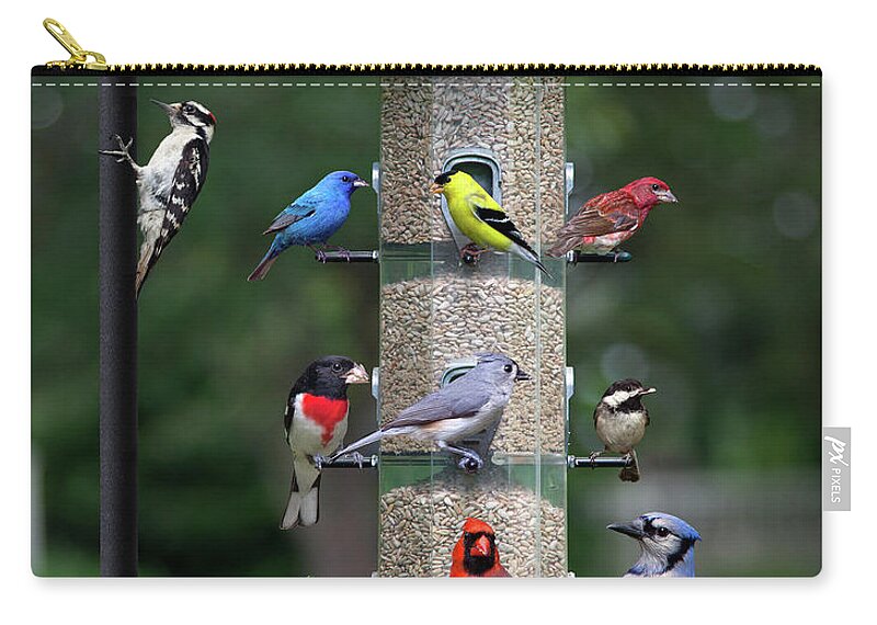 Birds Zip Pouch featuring the photograph Backyard Bird Feeder by Larry Landolfi