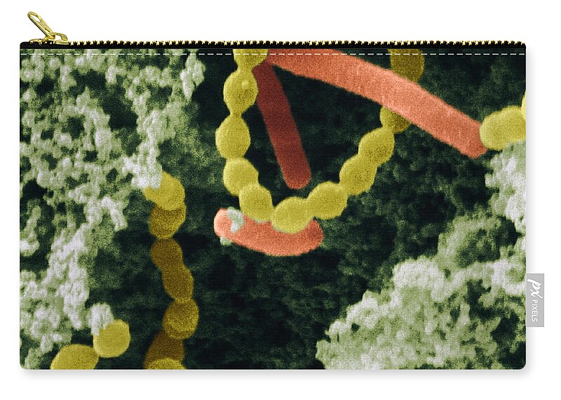 Bacteria Zip Pouch featuring the photograph Bacteria In Yogurt by Scimat
