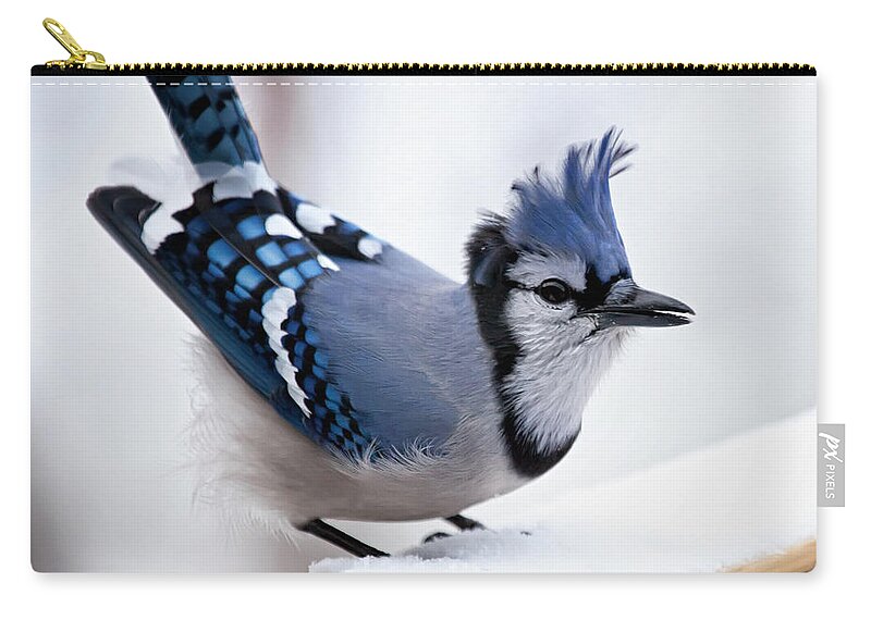 Blue Jay' Zip Pouch featuring the photograph Bad feather day by Al Mueller