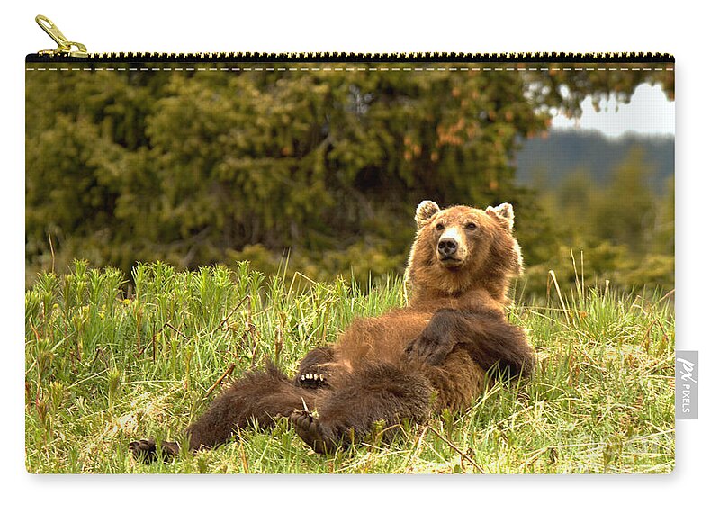 Grizzly Zip Pouch featuring the photograph Banff Grizzly Lounging In The Grass by Adam Jewell