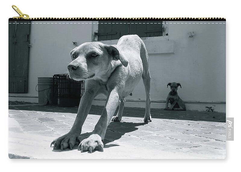 Dog Carry-all Pouch featuring the photograph Bahamas Dog by Becqi Sherman