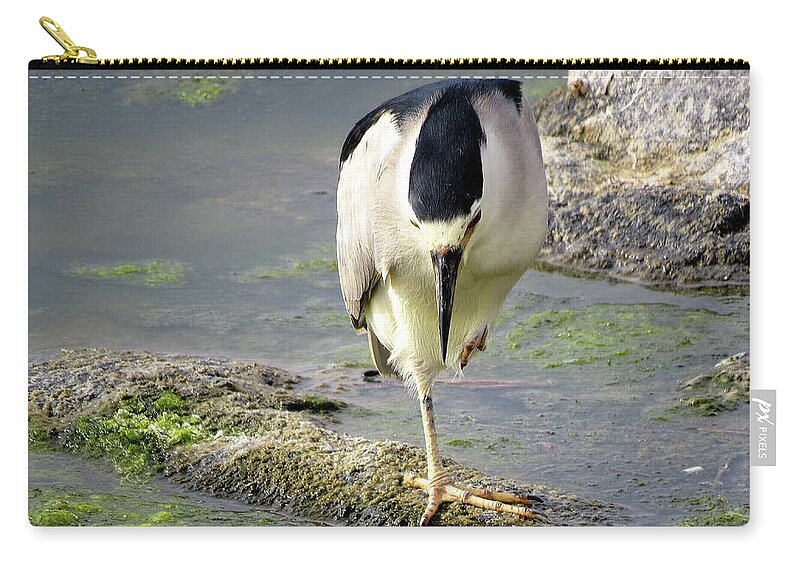 Birds Zip Pouch featuring the photograph Balance by Linda Stern