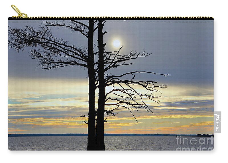 Bald Cypress Silhouette Zip Pouch featuring the photograph Bald Cypress Silhouette by Karen Jorstad
