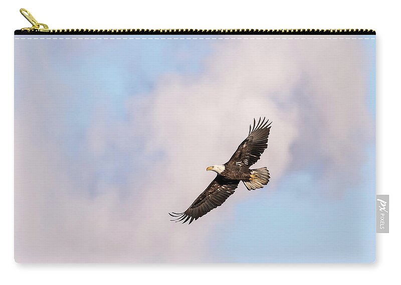 American Bald Eagle Zip Pouch featuring the photograph Bald Eagle 2017-5 by Thomas Young