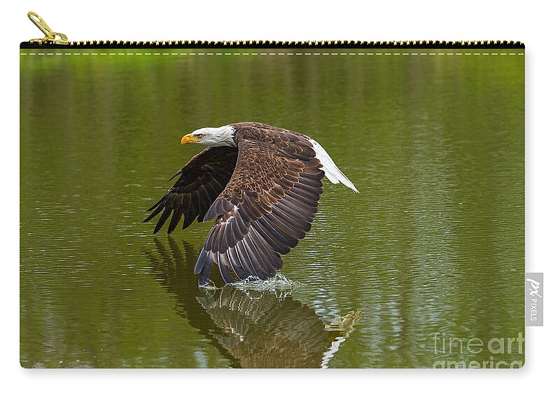 Birds Zip Pouch featuring the photograph Bald Eagle in low flight over a lake by Les Palenik