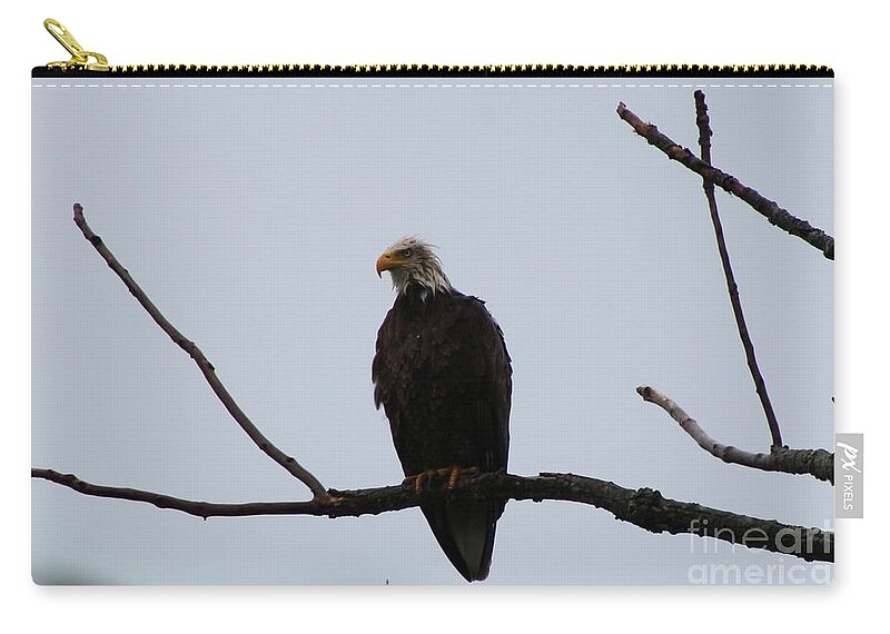 Eagle Zip Pouch featuring the photograph Bald Eagle in the Rain  by Neal Eslinger