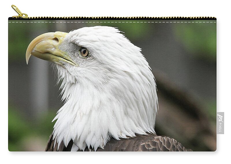 Eagle Zip Pouch featuring the photograph Bald Eagle by Jackson Pearson