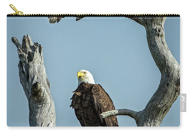 Eagle Zip Pouch featuring the photograph Bald Eagle mates by Steven Upton