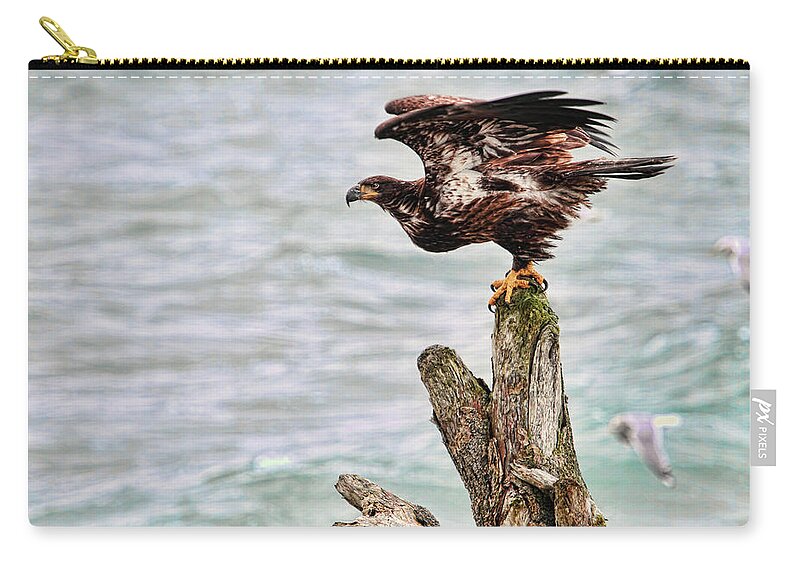 Bald Eagle Zip Pouch featuring the photograph Bald Eagle on Driftwood at the Beach by Peggy Collins