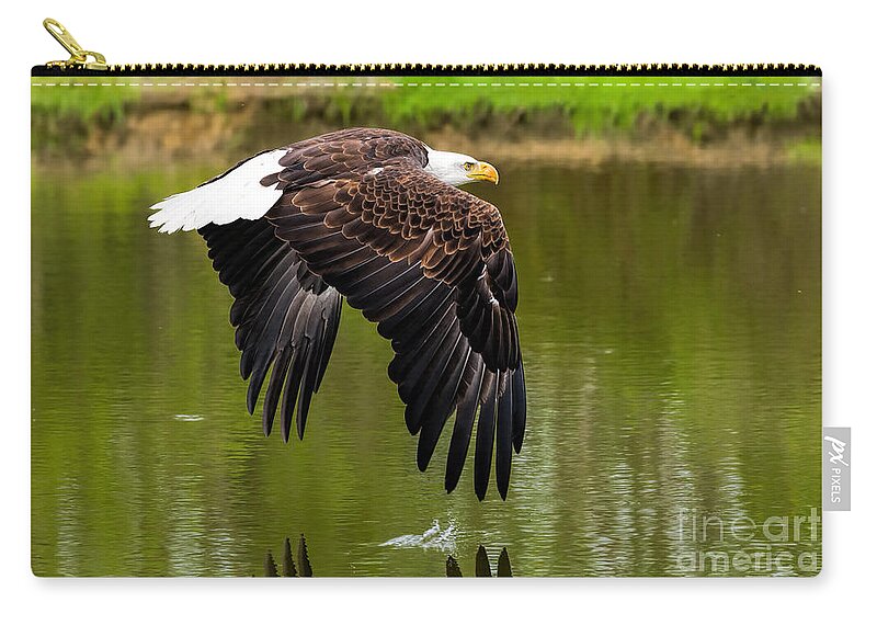 Birds Zip Pouch featuring the photograph Bald eagle over a pond by Les Palenik