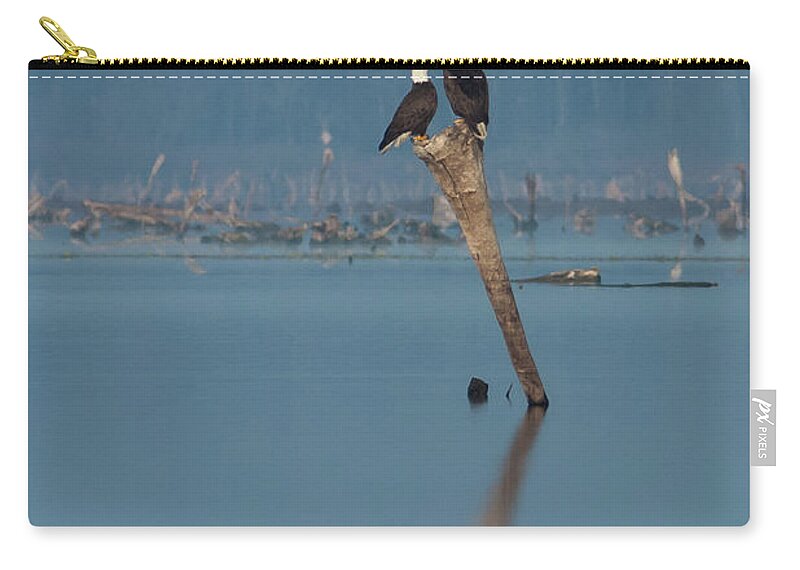 Bald Eagle Zip Pouch featuring the photograph Bald Eagle Pair by Paul Rebmann