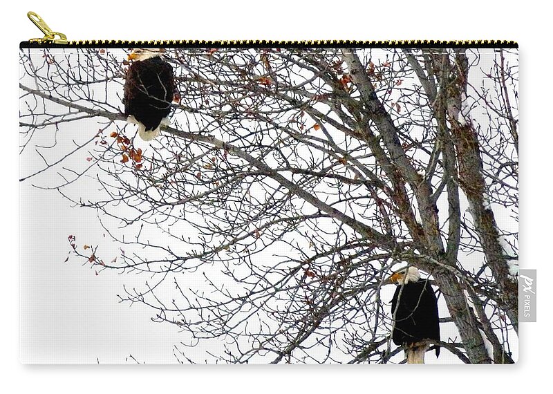 #baldeaglepair Zip Pouch featuring the photograph Bald Eagle Pair by Will Borden