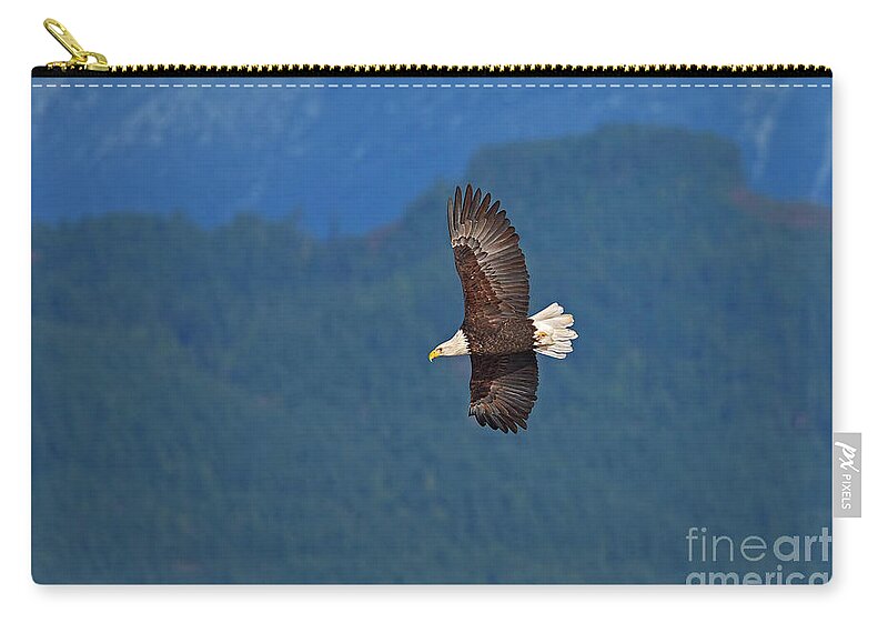 Bald Eagle Soaring Against The Mountains Zip Pouch featuring the photograph Bald Eagle Soaring by Sharon Talson