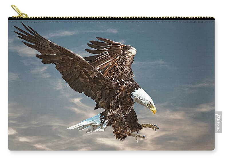Bald Eagle Zip Pouch featuring the photograph Bald eagle swooping by Brian Tarr
