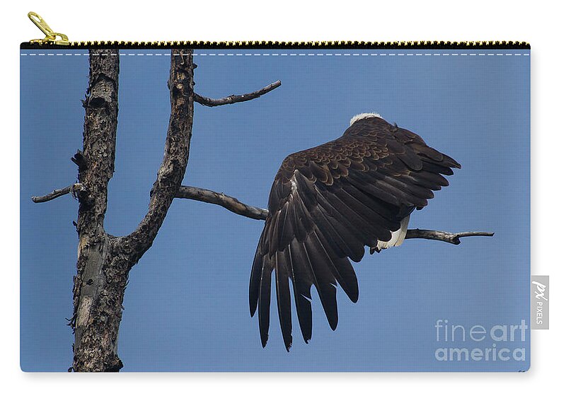 Eagle Zip Pouch featuring the photograph Bald Eagle Wing Stretch-Signed-#7658 by J L Woody Wooden