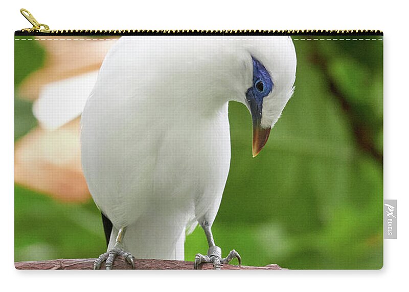 Bali Starling Zip Pouch featuring the photograph Bali Starling at Berlin Zoo by Jouko Lehto