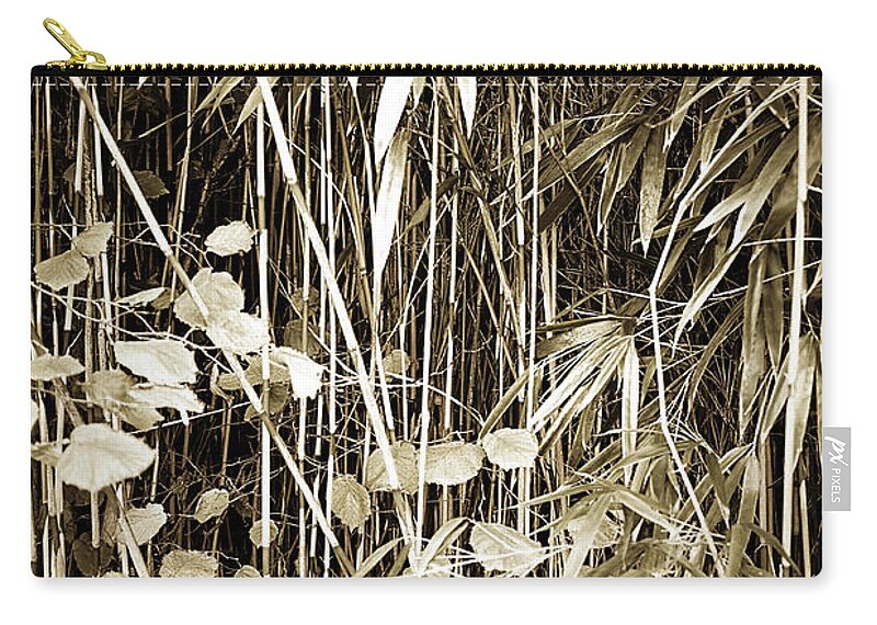 Sepia Zip Pouch featuring the photograph Bamboo and Gingko by Hugh Smith