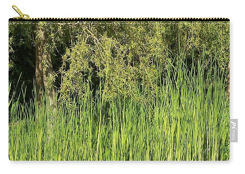 Green Bamboo Zip Pouch featuring the photograph Bamboo at the Pond by Elena Perelman