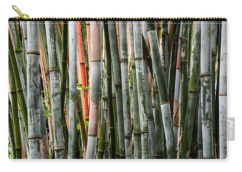 Bamboo Zip Pouch featuring the photograph Bamboo Seduction by Karen Wiles