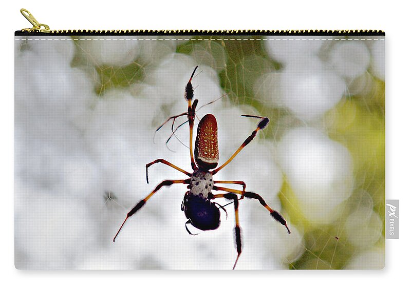 Arachnid Zip Pouch featuring the photograph Banana Spider Lunch Time 2 by Bob Johnson