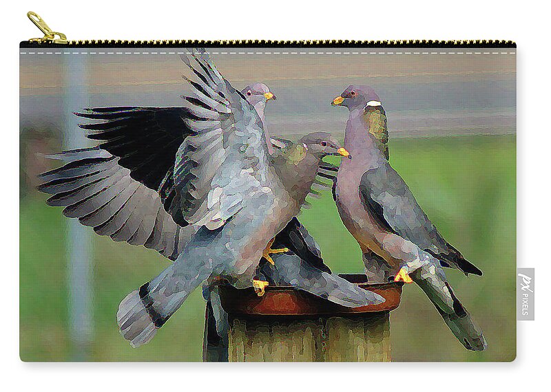 Birds Zip Pouch featuring the photograph Band-Tailed Pigeons #1 by Ben Upham III