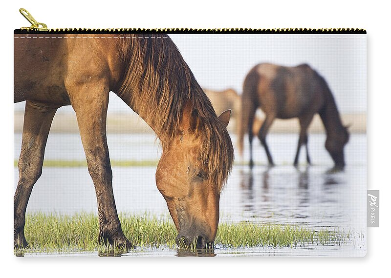 Wild Zip Pouch featuring the photograph Banker Horses on Tidal Flat by Bob Decker