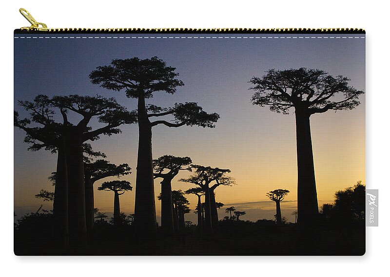 Madagascar Zip Pouch featuring the photograph Baobab Forest at Sunset by Michele Burgess