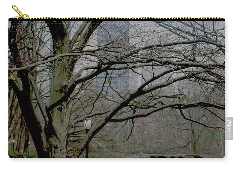 Park Zip Pouch featuring the photograph Bare Tree on Walking Path by Sandy Moulder