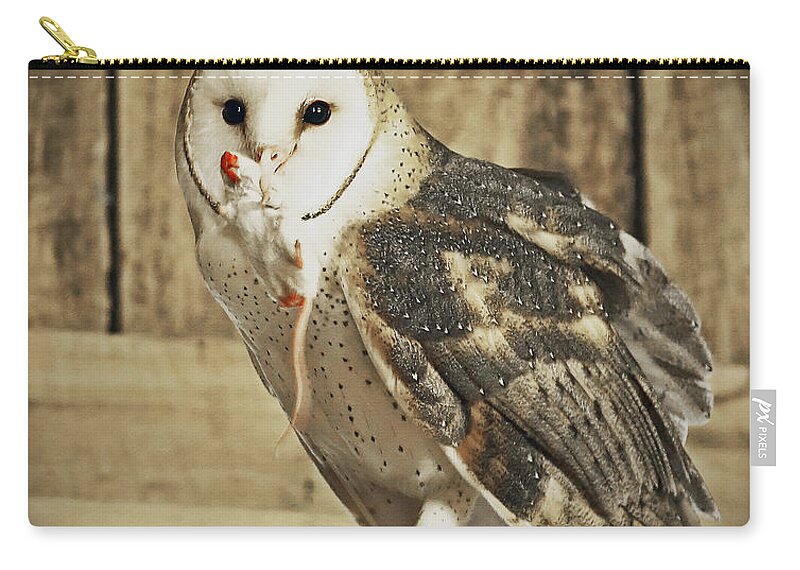 Nature Zip Pouch featuring the photograph Barn Owl Dinner by Gina Fitzhugh