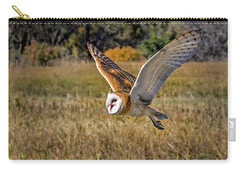 Barn Owl Zip Pouch featuring the photograph Barn Owl Flight 6 by Dawn Key