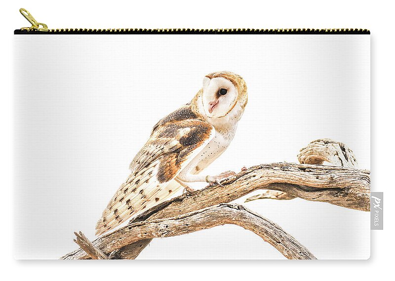 Nature Zip Pouch featuring the photograph Barn Owl in the Desert by Tom and Pat Cory