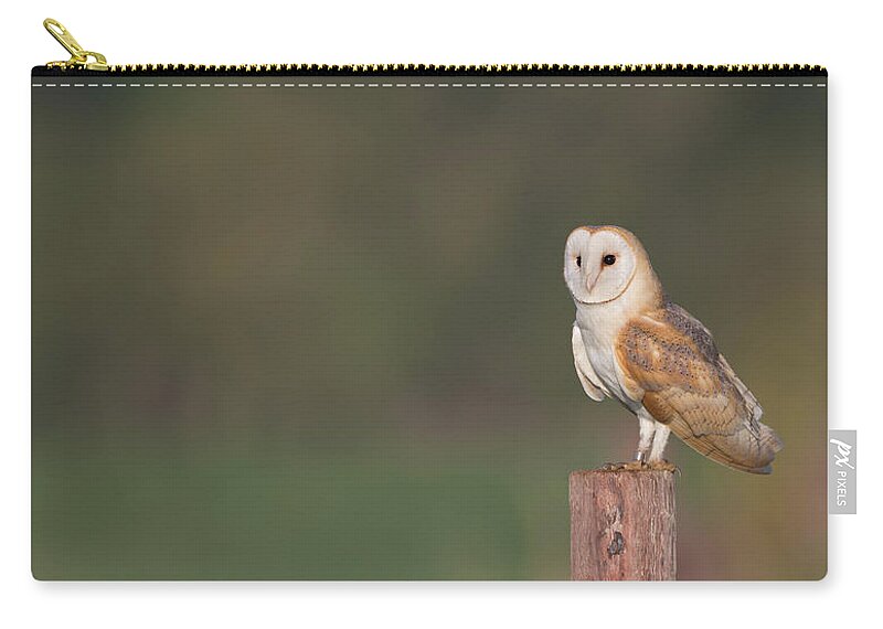 Barn Zip Pouch featuring the photograph Barn Owl On Post by Pete Walkden