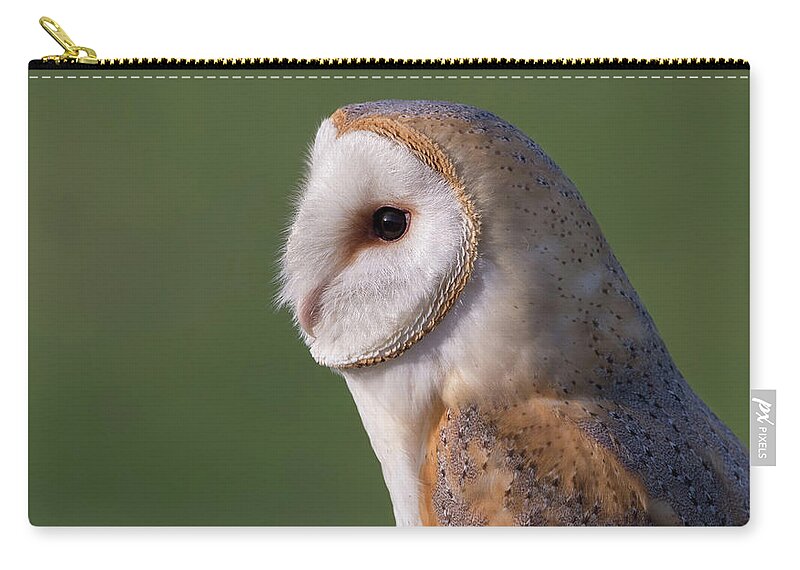 Barn Zip Pouch featuring the photograph Barn Owl Profile by Pete Walkden