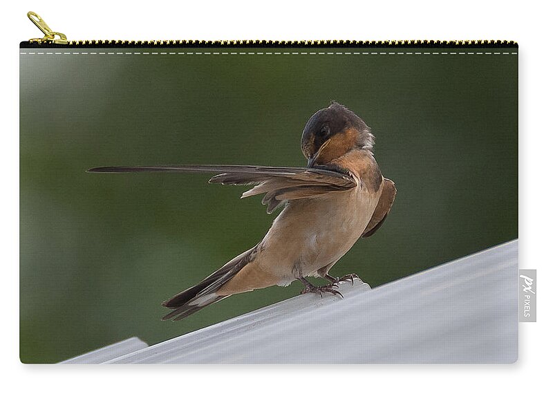 Barn Swallow Zip Pouch featuring the photograph Barn Swallow by Holden The Moment