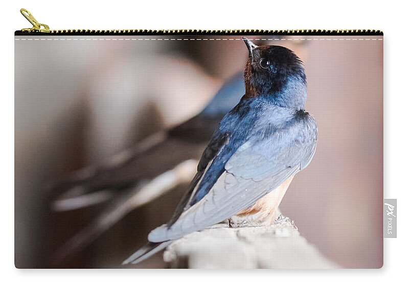 Barn Swallows Carry-all Pouch featuring the photograph Barn Swallows by Holden The Moment