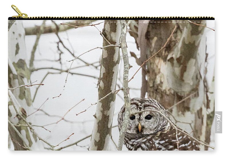 Owl Carry-all Pouch featuring the photograph Barred Owl by Holly Ross