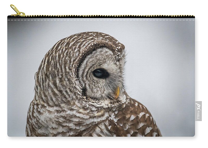 Barred Owl Zip Pouch featuring the photograph Barred Owl portrait by Paul Freidlund