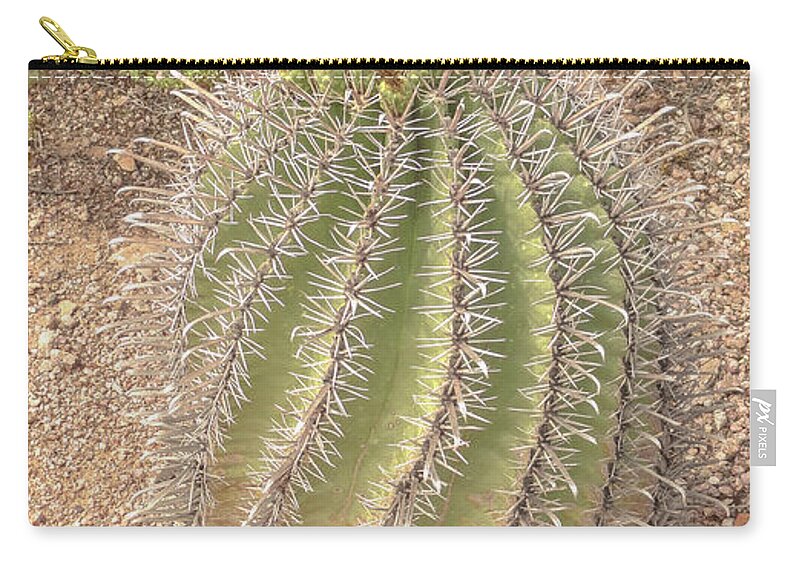 Cactus Zip Pouch featuring the digital art Barrel cactus by Darrell Foster