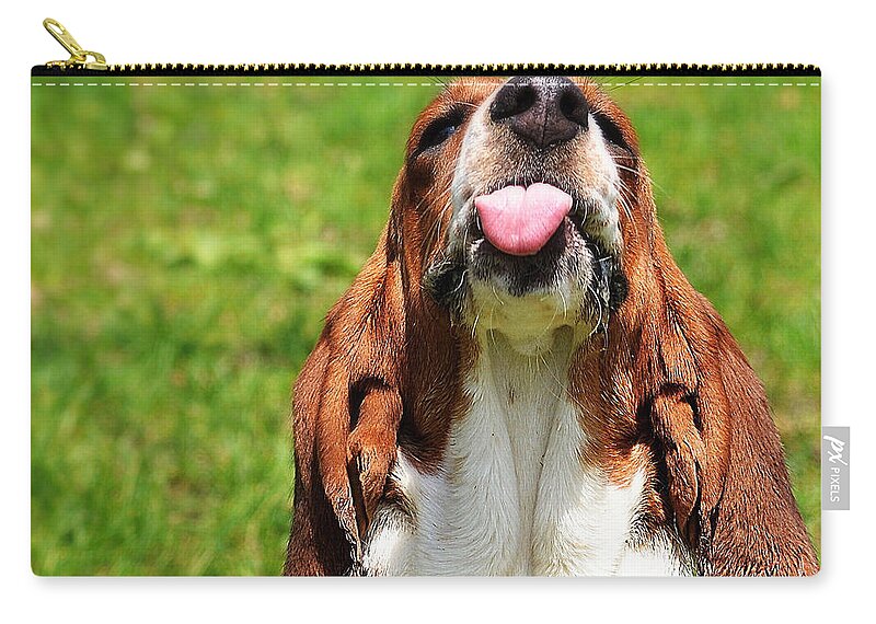  Basset Zip Pouch featuring the photograph Basset Hound Slobber by Marysue Ryan