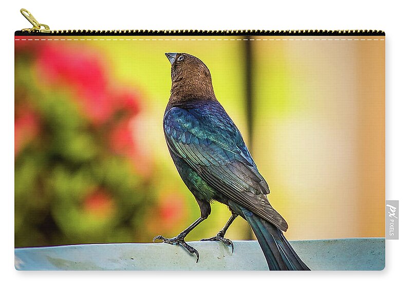 Bird Bath Zip Pouch featuring the photograph Bath Time by Cynthia Wolfe