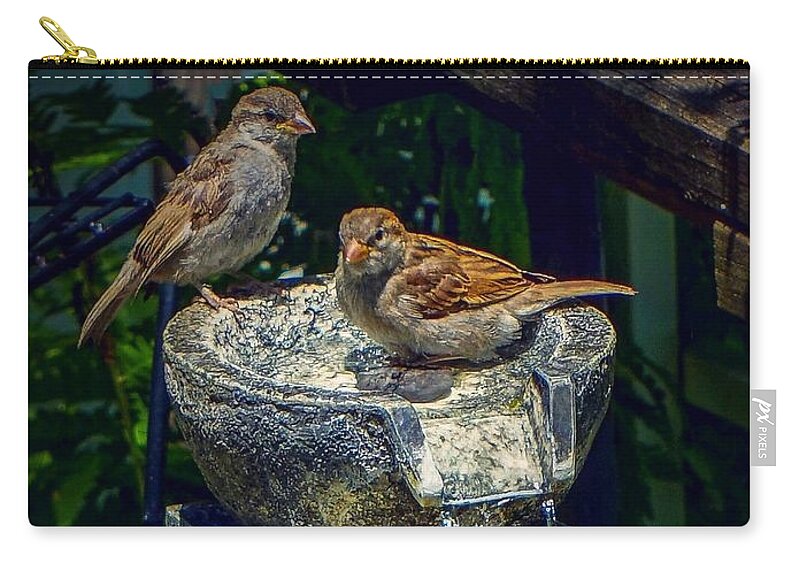  Carry-all Pouch featuring the photograph Bath time by Kendall McKernon